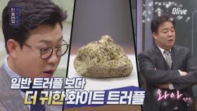 [선공개] 백종원, 화이트 트러플 아까운 줄 모르는 마셀로 향해 '미쳤어요?'