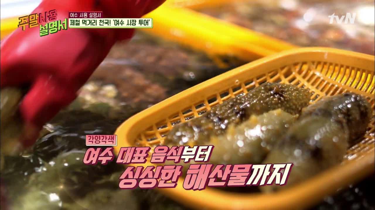 해산물 천국의 시작? 여수 시장 투어 (Ft. 로운 얼굴의 열일!) | ZUM TV