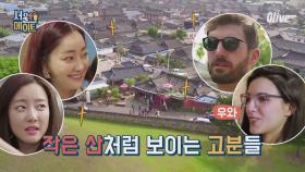 [효림이네] ＂산이 아니라 무덤이라고?＂ 후덜덜한 경주 고분 스케일!