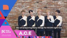 [KCON 2018 JAPAN]Message from CONVENTION ARTISTS