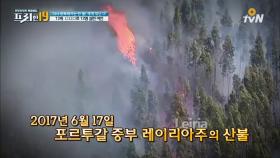 포르투갈 최악의 산불! 6시간을 버텨낸 생존법은?