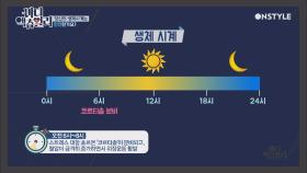 내 몸의 ′생체시계′를 거스르면 결국 병에 걸린다 (오전 6~8시 장운동, 오후 5~7시 운동하기 적합)