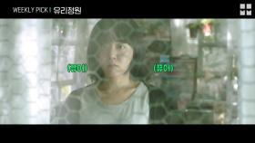 [위클리픽] 문근영X김태훈의 미스터리 드라마 ＜유리정원＞