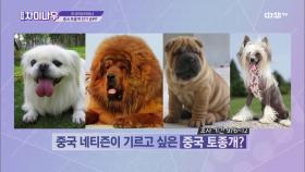 [리서치N차이나] 중국인의 사랑받는 토종犬~