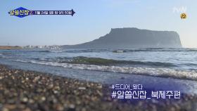 수다여행 in 북제주! 제주의 모든 잡학을 파헤친다