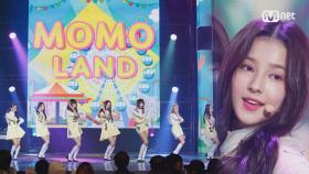 ′최초공개′ NEW 청순돌 ′모모랜드′의 ′Welcome to momoland + 짠쿵쾅′ 무대