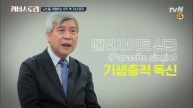 기생충적 독신? 노후 중산층 탈락 원인 1순위 