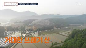 낙동강 500m 옆에서 발견된 초대형 쓰레기 산