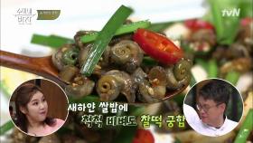 진도에서 직접 공수한 '고둥무침'의 맛은?!