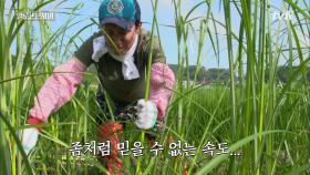 이 구역 웨이트왕 열이형의 놀라운 체력과 속도