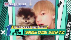 [23회] how to be yeontan..? ′연탄BTS 뷔′