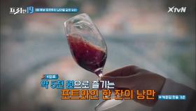 포르투의 낭만을 담은 와인 [우리는 단내 투어로 간다! 포루투갈 19]