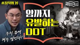 설민석의 [침묵의 봄] 강독 (2) 암까지 유발?! 만병통치약 DDT의 배신