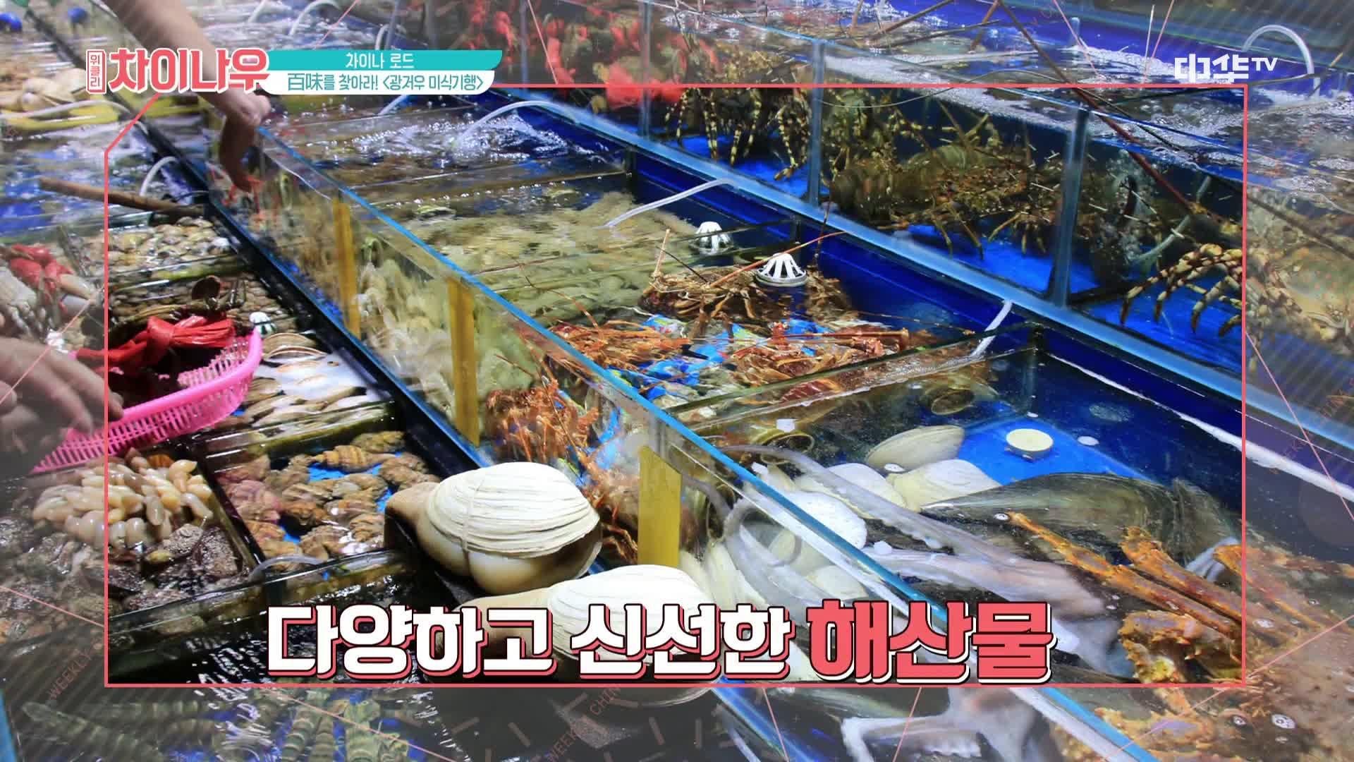 신선한 해산물이 가득! 광저우의 황사수산시장 | ZUM TV