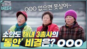 소안도 해녀 3총사의 ′동안′ 비결은? OOO