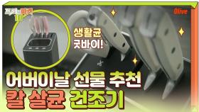 부모님 선물 추천 - 10만원 대 칼 살균 건조기