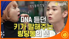 방탄소년단의 DNA 받쓰하다가 수능금지곡 