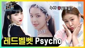 우린 아름답고 찹쌀↗떡↗ 사이야아~♬ Red Velvet(레드벨벳) - Psycho 놀토 받아쓰기 | #Diggle #놀라운토요일