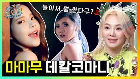 가사에 키스가 들어간다구요?!?! 💋 MAMAMOO(마마무) - Decalcomanie(데칼코마니) 놀토 받아쓰기♬ | #Diggle #놀라운토요일