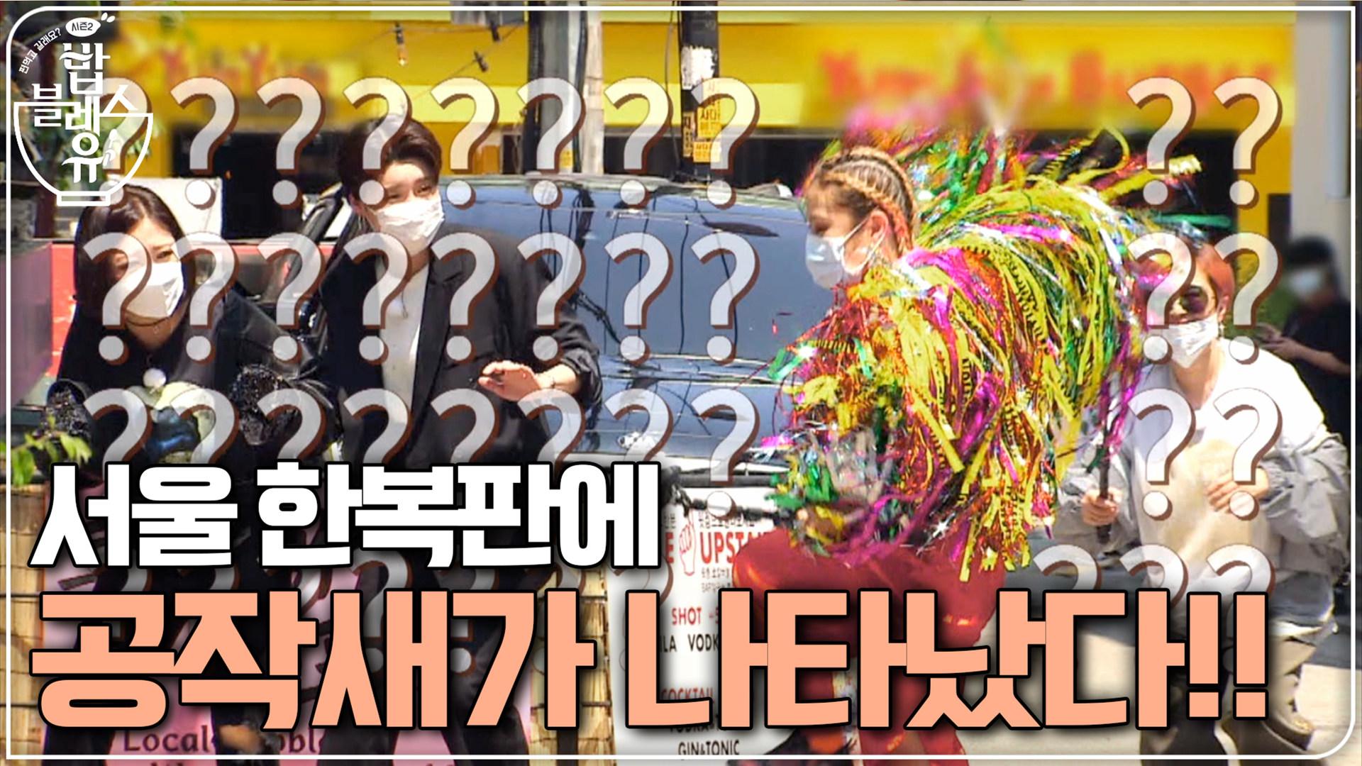 서울 한복판에 나타난 ′나래 공작새′ㅋㅋㅋㅋㅋㅋ | ZUM TV