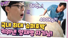 네? 400kg요? 국내 최대 ′슈퍼호박′을 키워낸 양재명 자기님!