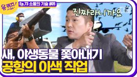 '하늘길의 내비게이션' 3차원 하늘의 안전을 책임지는 직업, 관제사 자기님🛫│#디글 #유퀴즈온더블럭