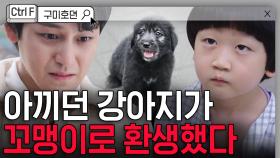 아됴띠 흐ㅎ엉🐾~ 대충 김범이 입덕부정기에서 시율맘으로 각성하는 과정. 귀찮게 하던 꼬마가 알고 보니 내 댕댕이였던 SSUL | #구미호뎐 #디글 #컨트롤F