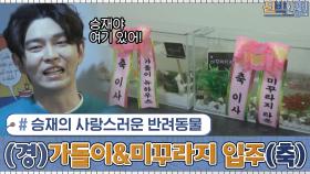 승재의 사랑스러운 반려동물들(♥) 가돌이&미꾸라지도 새 집에 입주 완료 (^_^) | tvN 210215 방송