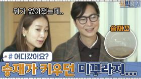 승재가 키우던 미꾸라지... 어디갔어요?ㅠㅠ 윤사원 의심하는 박대리?!ㅋㅋ | tvN 210215 방송