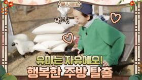 ♡윰 주방장의 행복한 주방 탈출♡ | tvN 210129 방송