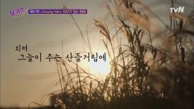 결국엔 세상이 저절로 빛나는 당신의 위대함을 알아챌 테니...! | tvN 210127 방송