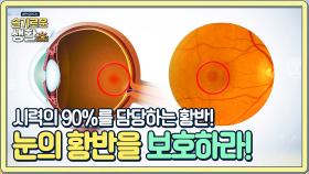 눈 속의 눈을 보호하라..!? 시력의 90%를 담당하는 황반을 지켜라! | Olive 210104 방송