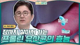 몸 속에서 사멸되지 않고 장까지 살아서 가는 프롤린 유산균의 효능! | tvN 210113 방송