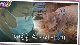 소아빠 수의사의 하루... 기형으로 태어난 송아지를 다시 걷게 해준 이한경 자기님! | tvN 210120 방송