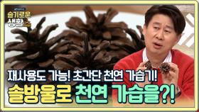 솔방울을 천연 가습기로 활용한다고?! | Olive 201221 방송