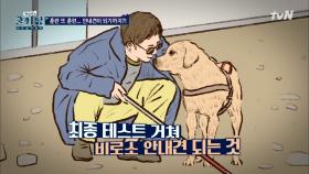 안내견이 되기까지 #안내견의 삶 | tvN 201209 방송