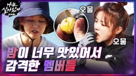 밤 먹어도 먹어도 배고파 ㅜㅜ ＂집 가면 밤 박스로 배 터질 때까지 먹을거야＂ | tvN 201217 방송