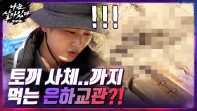 토끼사체..까지 먹는 은하교관?! 생존 상황에서는 가릴 수 없습니다! | tvN 201210 방송