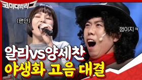 흔들림 없이 편안한 고음... 고퀄리티로 야생화 부르는 알리ㅠㅠ♥ | tvN 201115 방송