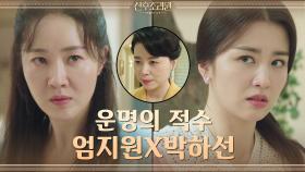 시터계의 레전드★'그분'이 오셨다! 면접 준비에 목숨 건 엄지원X박하선 | tvN 201117 방송