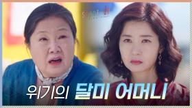 결국 (전)시어머니 김해숙에게 S.O.S 친 위기의 송선미 | tvN 201115 방송