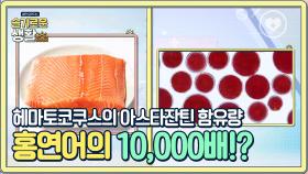 헤마토코쿠스의 아스타잔틴 함유량, 홍연어의 무려 약 10,000배! | Olive 201123 방송