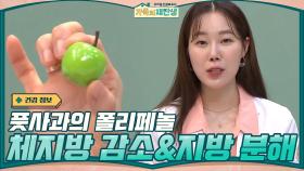 풋사과의 폴리페놀이 체지방 감소와 지방 분해를 도울 수 있다! | tvN 201118 방송