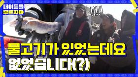 배 사이로 쏙 빠진 물고기0_0 어떻게 그 사이로... 물고기야 잘 가... | tvN 201120 방송