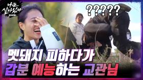 멧돼지 피하는 법 교육하다가 갑분 예능하는 교관님 허당미ㅋㅋㅋ(웃참) | tvN 201112 방송
