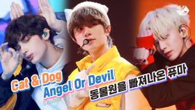 TXT (투모로우바이투게더) - Cat & Dog + Angel Or Devil + 동물원을 빠져나온 퓨마 | TOMORROW X TOGETHER COMEBACKSHOW | M2