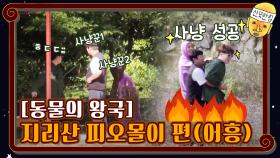 [동물의 왕국] 지리산 피오몰이 편(어흥) | tvN 201023 방송