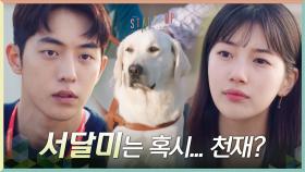 ＂개가 말을 하게 할 수 없을까＂ 배수지 한마디에 남주혁 뭔가 떠올랐다?! #서달미_천재설 | tvN 201108 방송