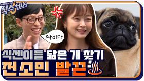 ＂그건 조세호 오빠지!＂ 전소민 발끈하게 만든 식센이들 닮은 견종 찾기ㅋㅋㅋ | tvN 201022 방송