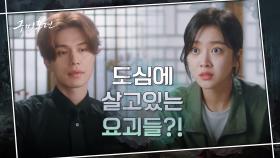 조보아, 인간패치 완벽하게 깔린 요괴들의 존재에 충격! | tvN 201008 방송